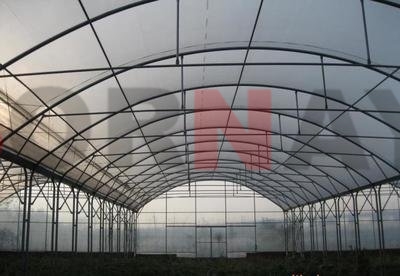 Extensive Applications of FRP Roof Panels in Agriculture, Industry, and More